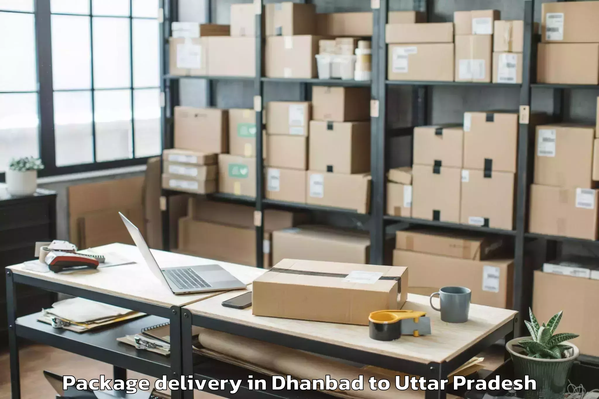 Easy Dhanbad to Rama University Kanpur Package Delivery Booking